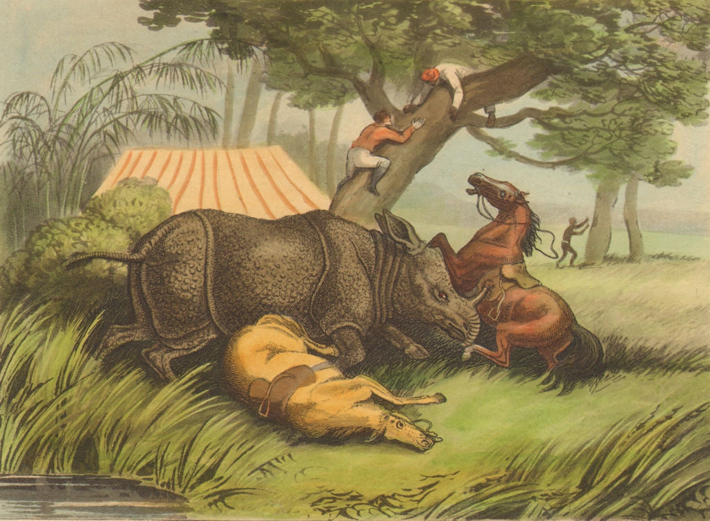 INDIA. Rhinoceros attacking horses. Hunters climbing tree. Tent (Orme)  1814